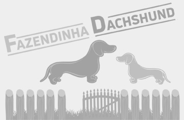 Pititico Dachshund Arlequim Basset Salsichinha